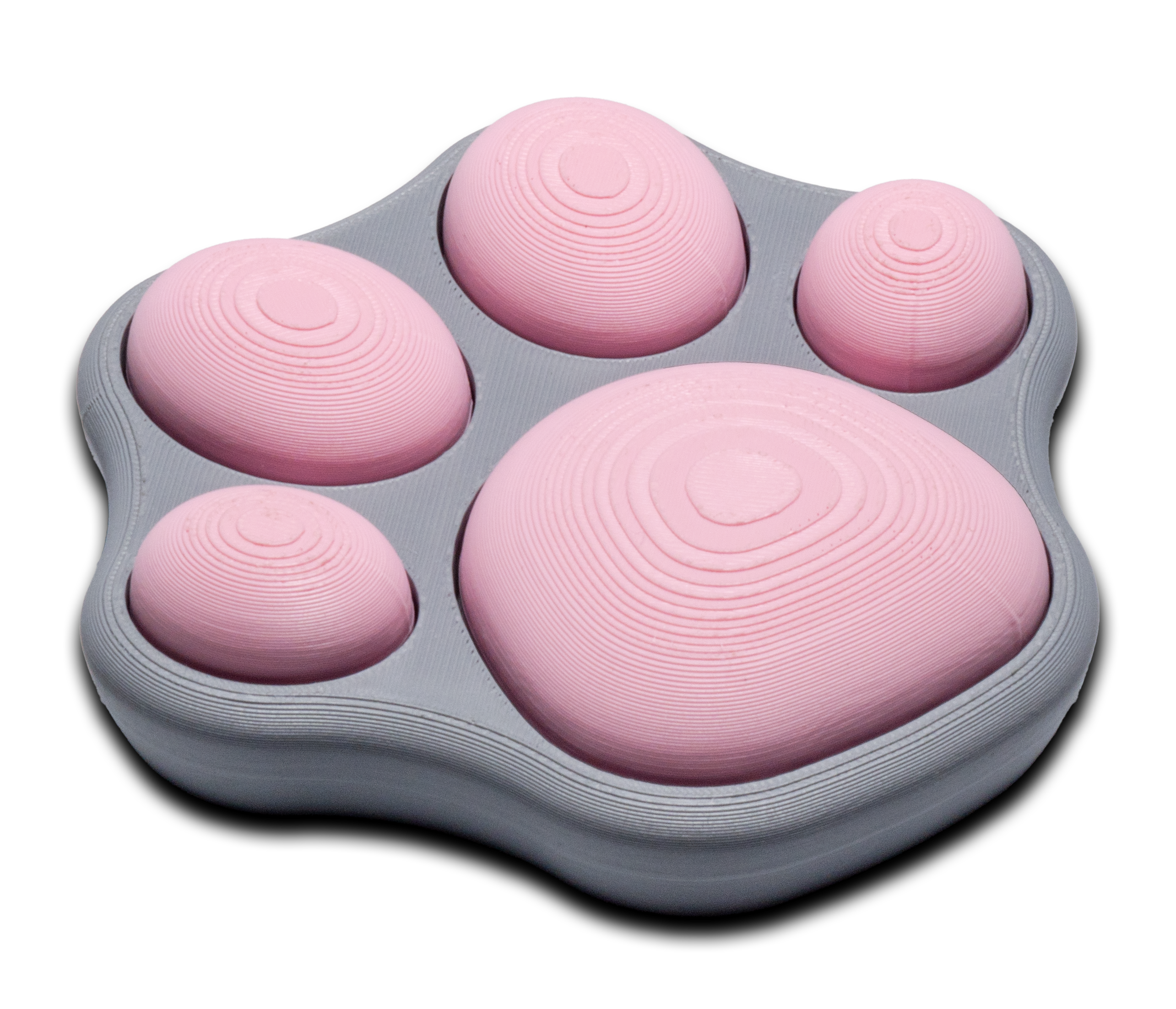 Cat Paw Switch Fidget